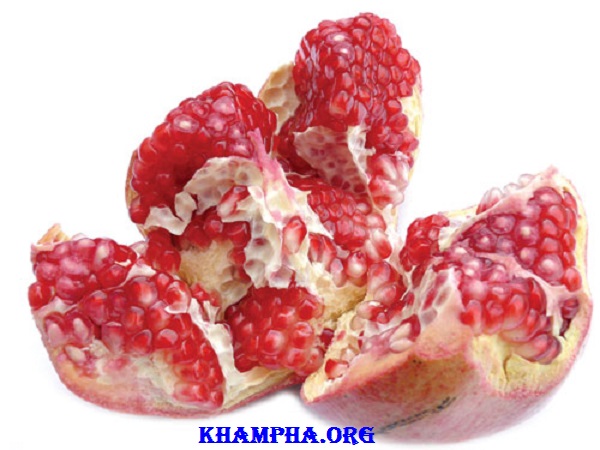 Những Phong Tục Đón Năm Mới Kỳ Quặc Nhất Thế Giới Những Phong Tục Đón Năm Mới Kỳ Quặc Nhất Thế Giới