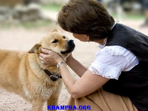 Những Phong Tục Đón Năm Mới Kỳ Quặc Nhất Thế Giới Những Phong Tục Đón Năm Mới Kỳ Quặc Nhất Thế Giới