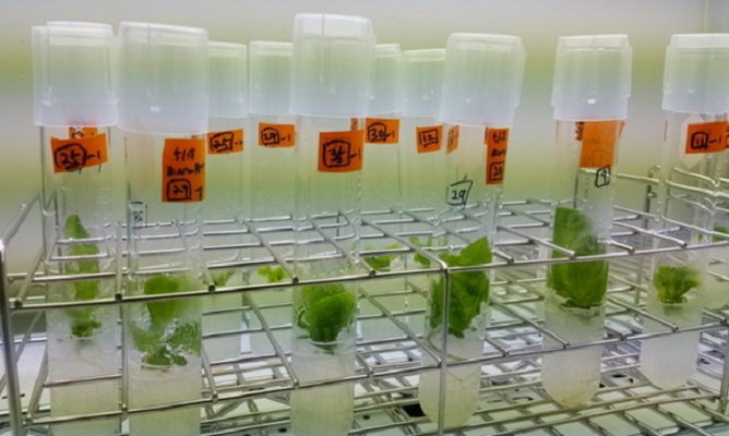 Khám Phá Top 10 Công Nghệ Sẽ Tạo Đột Phá Trong Năm 2016