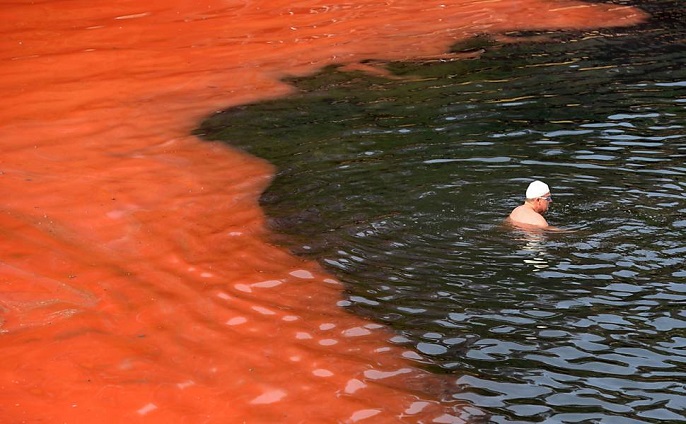 Thủy Triều Đỏ Là Gì?